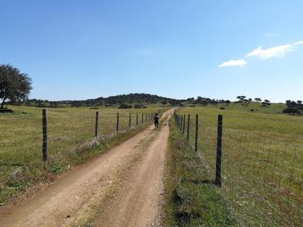 Herdade Do Gizo - Casa Reis Cuba Eksteriør bilde
